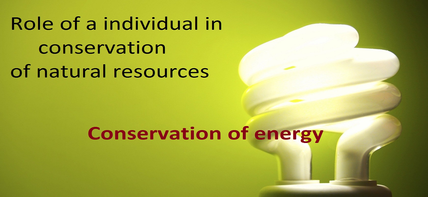 role of individual in conservation of natural resources