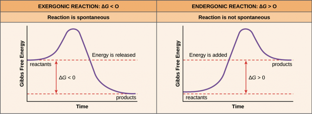 Free energy of reaction - Engineering Chemistry