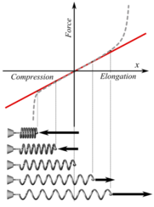 Hooke's Law