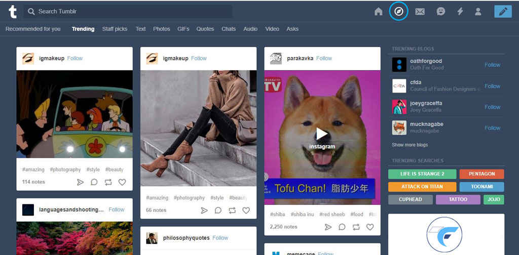 trending in tumblr account