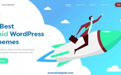 5 Best Premium WordPress Themes of 2025
