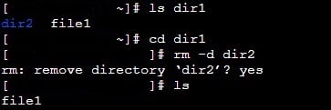 remove empty directory